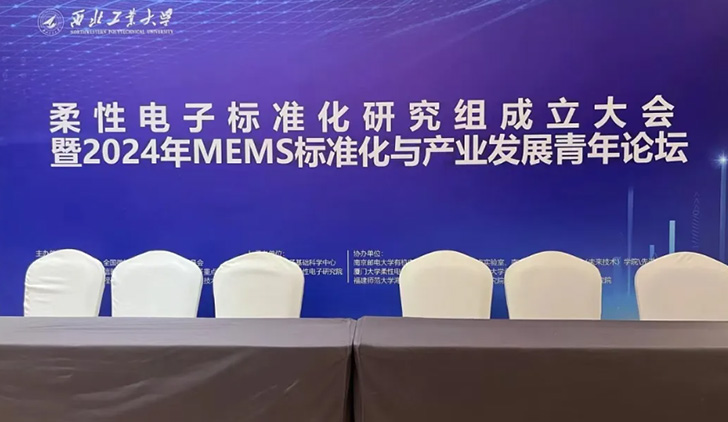 Leading with Strength | Celebrating Suzhou Leanstar’s Contribution to Drafting the First Global Standard for Flexible Electronics!